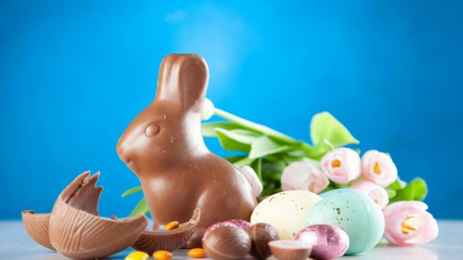  ¿Cómo surgió la tradición del conejito de pascua y los huevos de chocolate?  