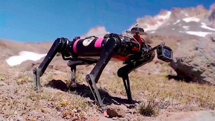   Spirit, el perro robot que está siendo entrenado para caminar en la Luna 
