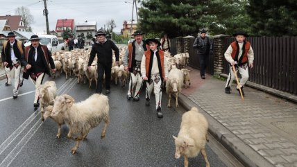   Polonia celebra su tradicional fiesta primaveral de los pastores 