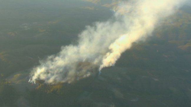 Incendio forestal mantiene con Alerta Roja a Nacimiento