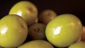 Expertos españoles generaron biocombustible con aceitunas