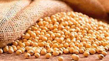 Argentina entregará a las provincias un tercio del impuesto a la soja