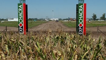 Gobierno argentino negociará impuestos con el sector agrario