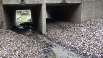 En Licantén se realiza el primer juicio por contaminación de aguas bajo la Reforma Procesal