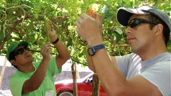 Dirigenta denunció falta de fiscalización a empresas que utilizan pesticidas