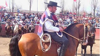   Canciller designado por Piñera es corralero y accionista del fútbol en la UC 