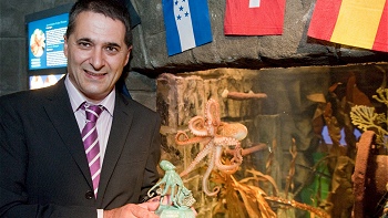 El pulpo Paul fue nombrado ciudadano ilustre de una ciudad gallega