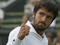 Janko Tipsarevic