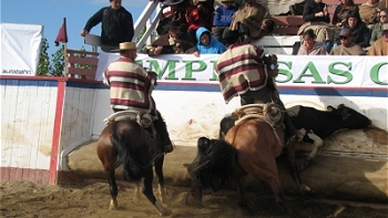   Jinetes de Osorno ganaron el tradicional Champion del Sur 