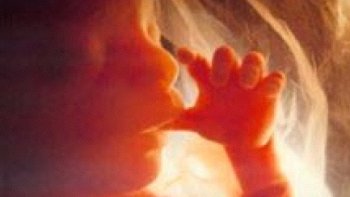 Madres con postnatal denuncian a isapres por retraso en pago de licencias médicas