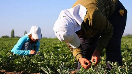  Dirigenta de trabajadores rurales denunció que 