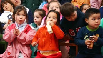   ¿Cómo Chile pasó de erradicar la desnutrición a liderar la obesidad infantil en el mundo? 