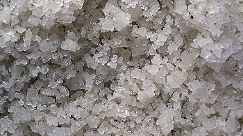   Autoridades investigan si nuevas drogas sintéticas inducen al canibalismo 