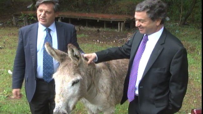 Parlamentarios Lorenzini y Coloma resolvieron salomónicamente su apuesta con un burro