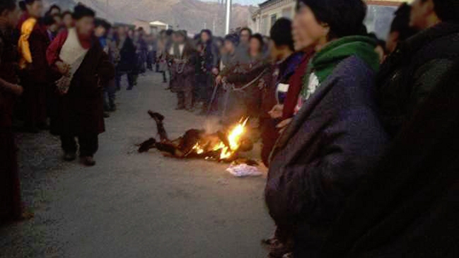 Dos monjes tibetanos se quemaron a lo bonzo en protesta por opresión de China