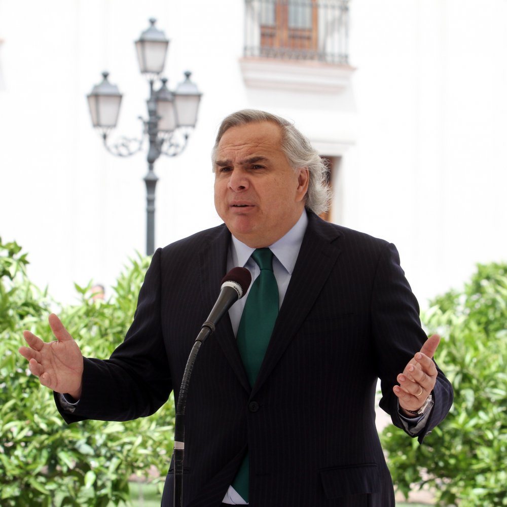 Chadwick: Hidroaysén no está muerto para el Gobierno