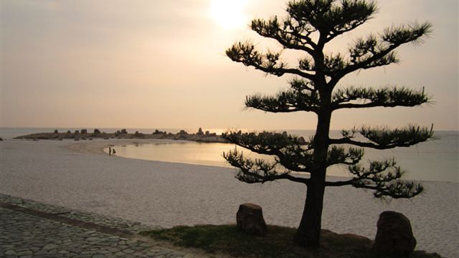 Estudio reveló un aumento de la acidificación del Pacífico al sur de Japón