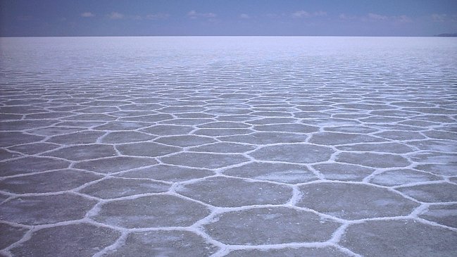 Gobierno puso fin a la licitación del litio