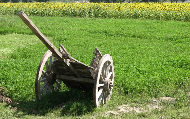 Cinco jóvenes campesinas fueron violadas en Pakistán tras exigir sus salarios