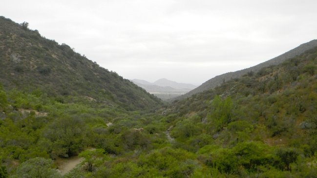 U. de Chile emprendió acciones legales por explotación minera ilegal en Maipú