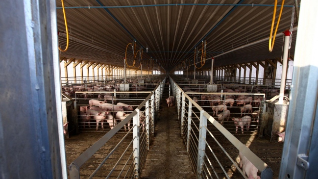 Vicepresidente PS criticó a Mañalich: Sería bueno saber si le gustaría comer 