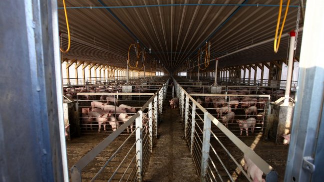 Alcaldes celebraron cierre de planta en Freirina y expresaron preocupación por trabajadores