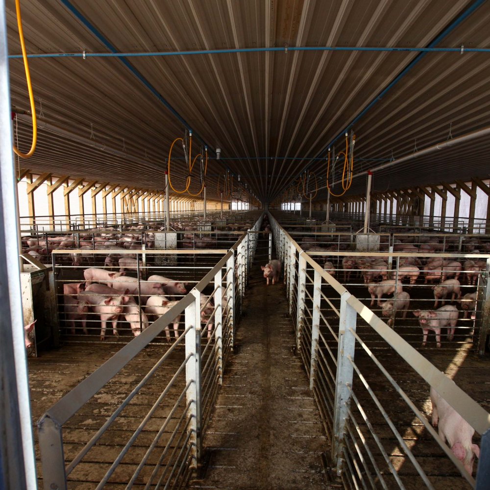 Alcaldes celebraron cierre de planta en Freirina y expresaron preocupación por trabajadores