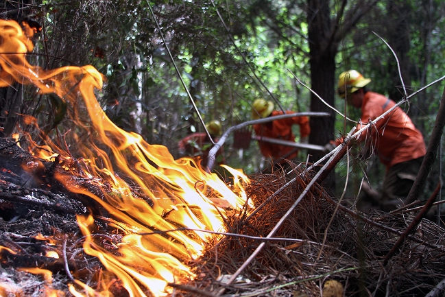 Onemi Decretó Alerta Roja Por Dos Incendios Forestales En Región De Valparaíso Cooperativacl 2410