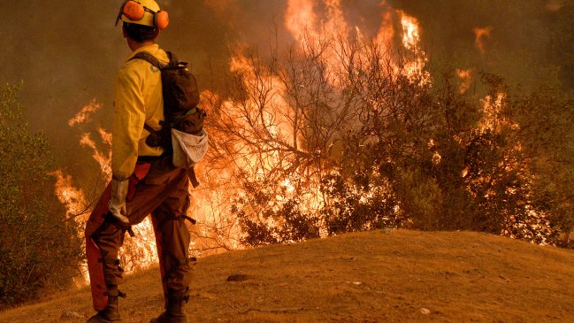 Conaf y Bomberos suman esfuerzos para controlar incendio forestal en Casablanca