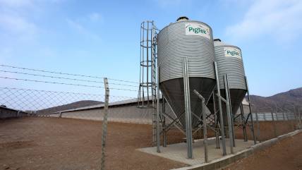 Agrosuper acudirá al Comité de Ministro por planta en Freirina