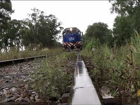 Presunto abusador se suicidó lanzándose contra un tren en San Bernardo
