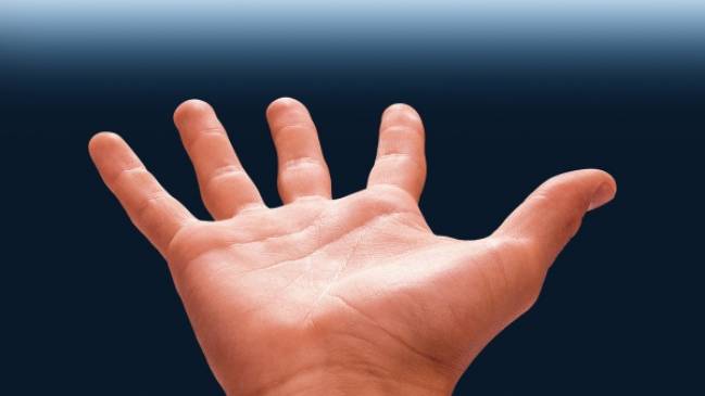 La mano humana evolucionó para incrementar la aptitud para la lucha