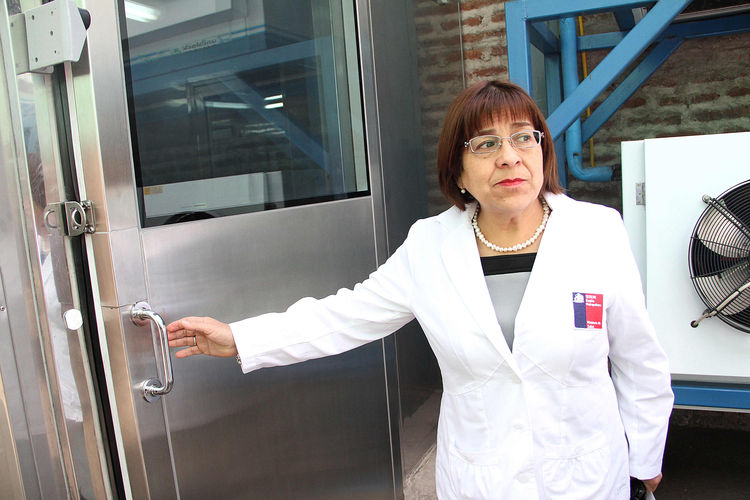 Seremi de Salud prohíbe funcionamiento de carnicería por presencia de baratas