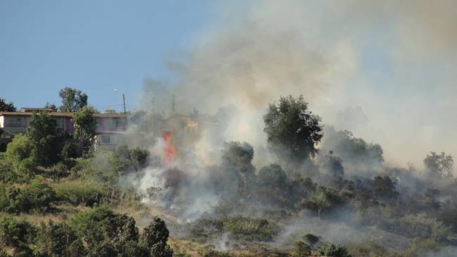 Onemi levantó alerta amarilla por incendio en comuna de Viña del Mar