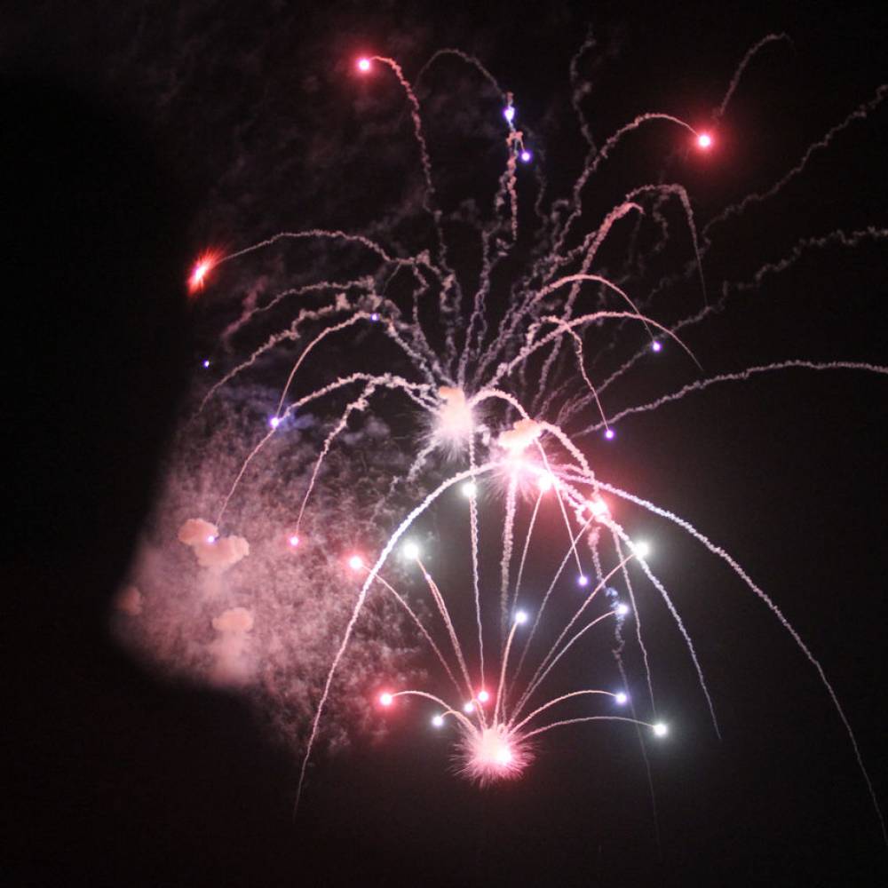 Diputado Araya presentó proyecto para sancionar comercialización de fuegos artificiales