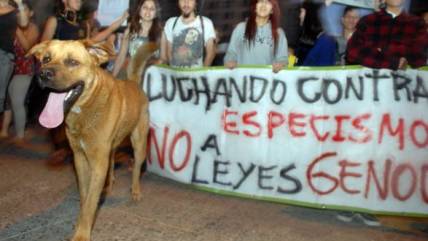Animalistas protestaron en rechazo a la caza de perros