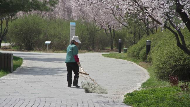 Millonaria china trabaja como barrendera para dar el ejemplo
