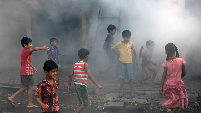 Dengue cobró su primera víctima del año 2013 en Paraguay