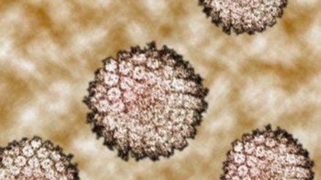 Científicos japoneses crearon células que atacan el cáncer y el VIH