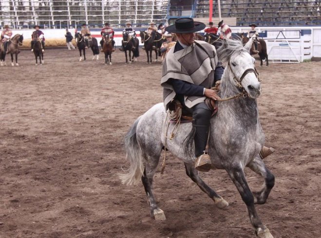 Millonario robo afectó a club de huasos Gil Letelier