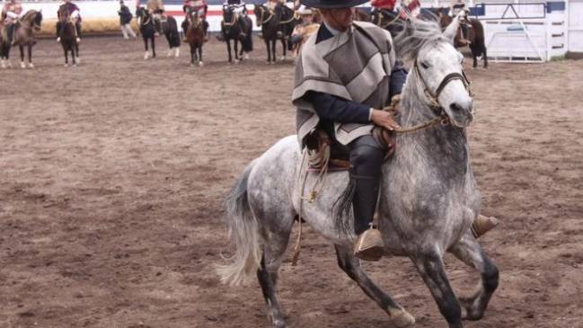 Millonario robo afectó a club de huasos Gil Letelier