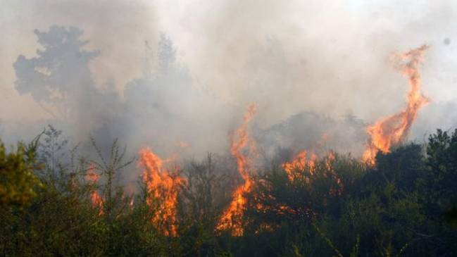 Se mantiene la alerta roja en Viña del Mar y Casablanca por incendios forestales