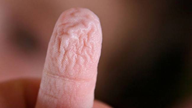 Científicos revelan por qué se nos arrugan los dedos en el agua
