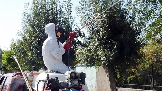 SAG detalló campaña contra la mosca de la fruta en Valparaíso