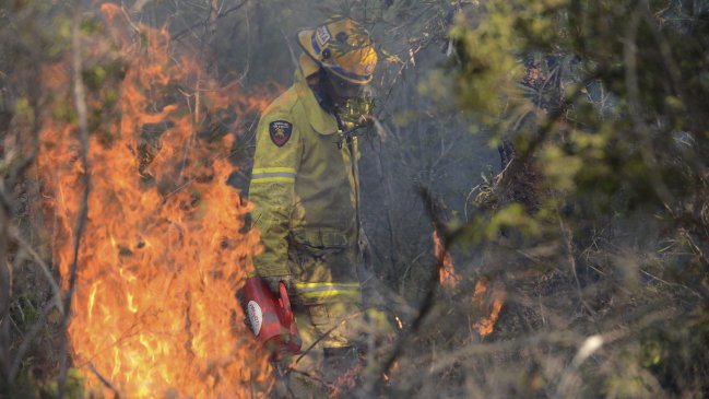 Informe: Cambio climático es responsable de ola de calor en Australia