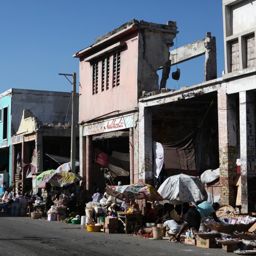 Haití anunció plan de reforestación que permitirá la creación de 30 mil empleos