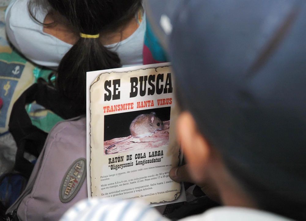 Minsal entregó recomendaciones para prevenir el virus Hanta en verano