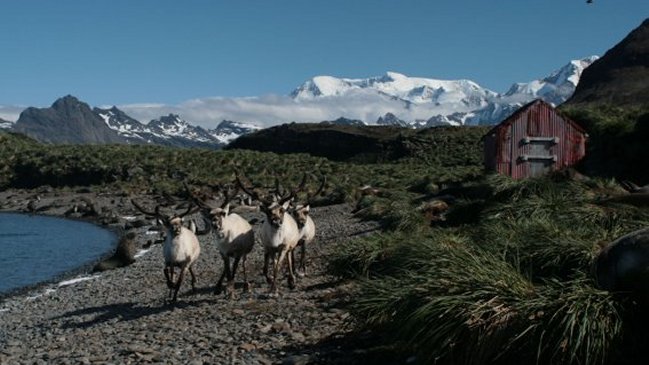 Gobierno argentino: Referendo en las Malvinas es una 