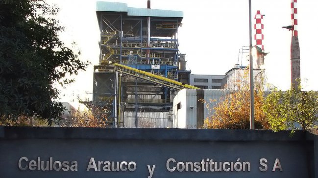 Celco deberá pagar multa de 32 millones por infracciones de planta en Valdivia