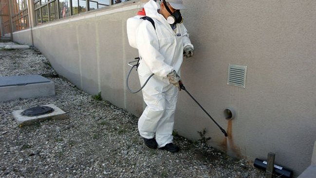 Recomendaciones para evitar el contagio del virus Hanta